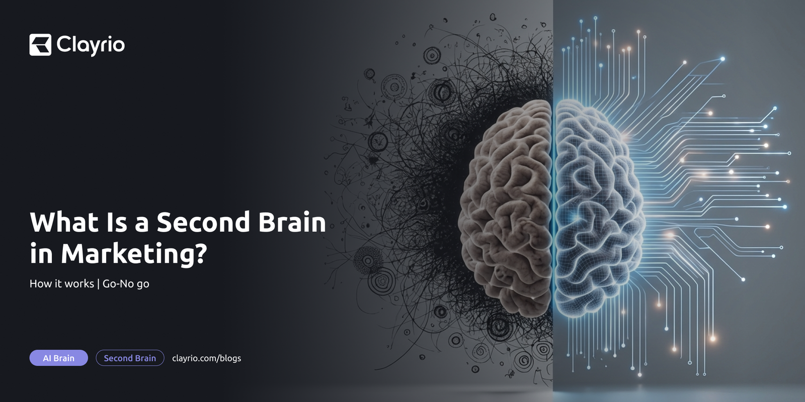 What is second brain